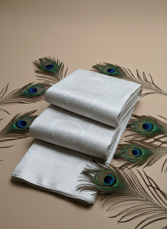 beautifui silver zari all over self design tissue silk saree