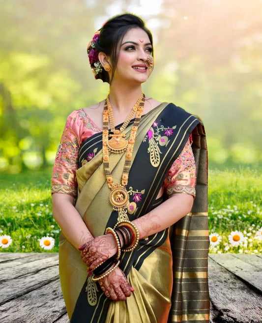 Tissue mor paithani